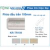 Phào đầu trần 100mm KR-TR100